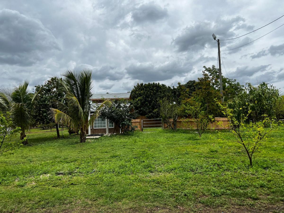 Maria'S Tiny Barn Guest House Homestead Bagian luar foto