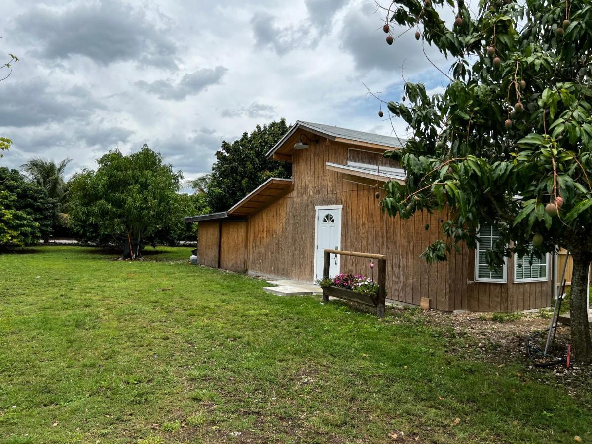 Maria'S Tiny Barn Guest House Homestead Bagian luar foto