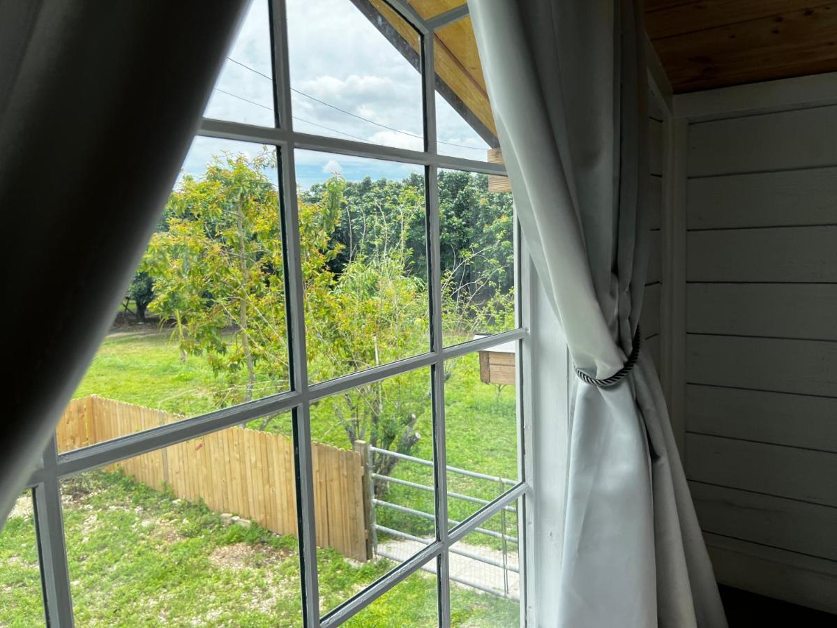 Maria'S Tiny Barn Guest House Homestead Bagian luar foto